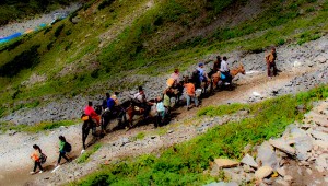 Manimahesh Yatra by horse